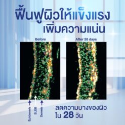 ✨ 𝑩𝑶𝑵𝑬𝑻𝑨 𝑬𝑿𝑶𝑮𝑳𝑶𝑾 ✨ 💙 นวัตกรรมฟื้นฟูผิวระดับเซลล์! ครั้งแรกของ EXOGLOW™ Technology ที่ผสาน 💎 Exosome Science + Skin Glow Activation จาก Switzerland 🇨🇭 ✔️ กระตุ้นคอลลาเจน ผิวแน่นกระชับ อิ่มฟู ✔️ ฟื้นฟูเซลล์ผิว ลดเลือนริ้วรอยลึก คืนความอ่อนเยาว์ ✔️ เผยผิวโกลว์ ฉ่ำน้ำ เปล่งประกายสุขภาพดี #จ่าย1ได้ถึง3 ลูกค้าได้ไปคุ้มแน่นอน 💙 มากกว่าครีมบำรุง… นี่คือการดูแลผิวแบบ 360°! 💙 ✨ BONETA EXOGLOW ไม่ใช่แค่ครีม แต่เป็น “Skin Treatment” ที่ช่วยดูแลผิวรอบด้าน #บอกลาหัตถการ ได้เลย ✔️ ทาหลังเซรั่ม เติมเต็มความชุ่มชื้น ล็อกทุกการบำรุง ✔️ ใช้ได้ทั้งกลางวัน & กลางคืน ซึมไว ไม่เหนอะหนะ ✔️ นวดหน้ากระชับผิว กระตุ้นระบบไหลเวียน ลดอาการบวม ✔️ มาส์กหน้าเข้มข้น ฟื้นฟูผิวล้ำลึกข้ามคืน ผสานพลังฟื้นฟูผิว พิสูจน์แล้ว! 6 สารสกัดพรีเมียม ที่ช่วยให้ ✔️ ผิวเด็กลง ดูอ่อนเยาว์ ✔️ ริ้วรอยลดเลือนจริง ✔️ ผิวชุ่มชื้น ฉ่ำโกลว์สุขภาพดี พิสูจน์แล้วจากผู้ใช้จริงกว่า 100 คน! ลองแล้วคุณจะรัก 💙 ✨ ท้าพิสูจน์! ผิวเด็กลง ใน 4 สัปดาห์ ✨ 💙 แค่ทา… ก็เหมือนได้ทำทรีตเมนต์ทุกวัน! ✔️ ลดริ้วรอยลึก ผิวแน่น กระชับ อิ่มฟู ✔️ กระตุ้นคอลลาเจน 7 โมเลกุล ✔️ ฟื้นฟูเซลล์ผิว ปรับสีผิวให้เนียนใส #BONETAEXOGLOW #BONETA #BeautyBeyondTime #ExosomeScience #กู้ผิวพังปรับผิวโกลว์ #บอกลาหัตถการ